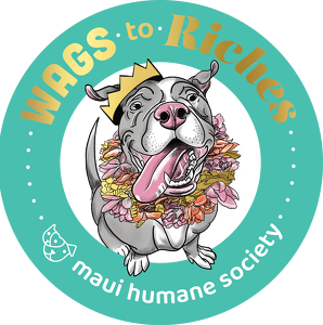 Fundraising Page: Maui Humane Society
